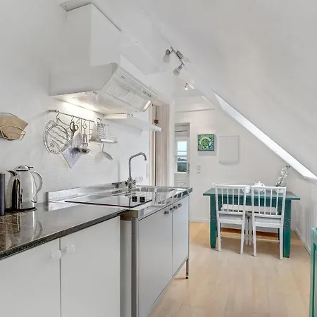 Niels Plumsvej Nexo Xi 公寓 内克瑟